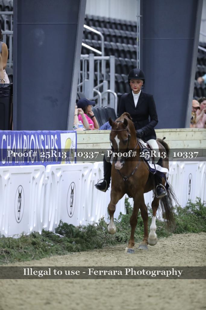 Proof 25R13_10337