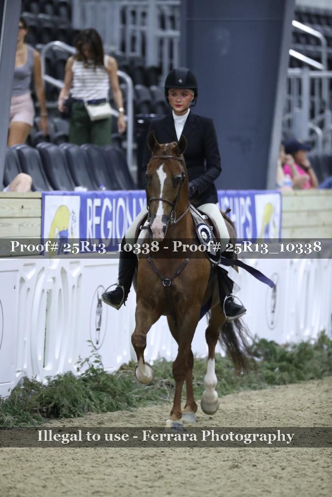 Proof 25R13_10338
