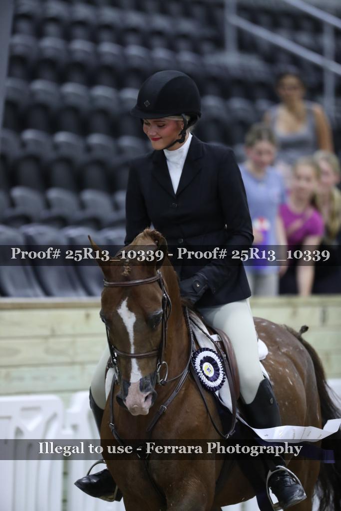 Proof 25R13_10339