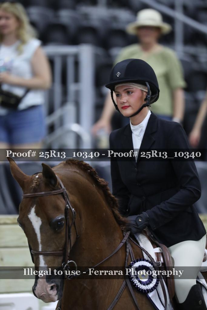 Proof 25R13_10340