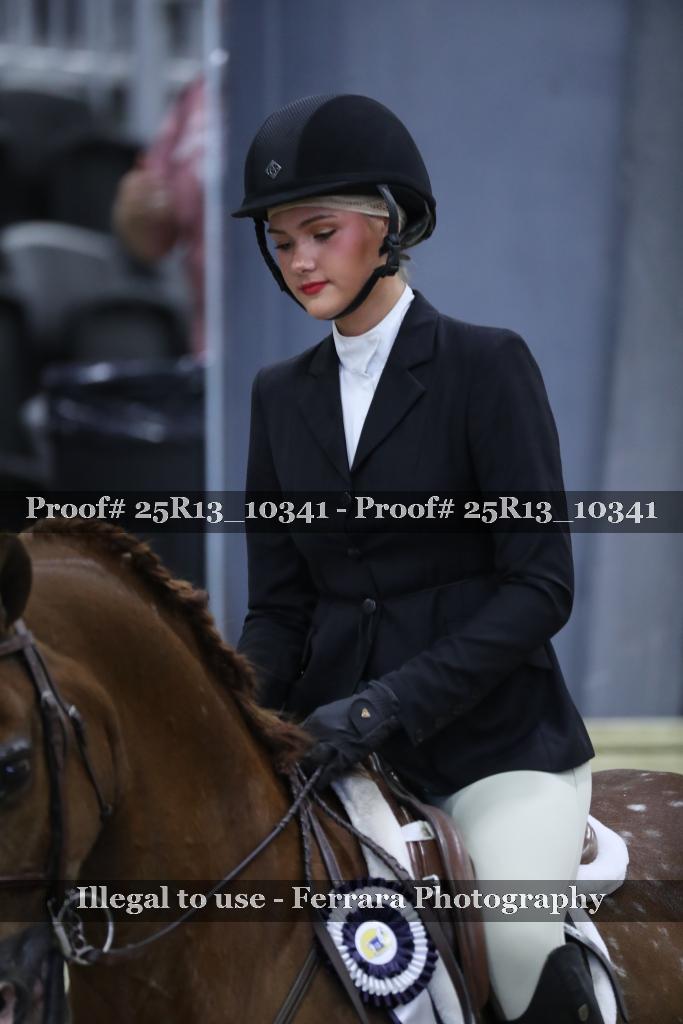 Proof 25R13_10341