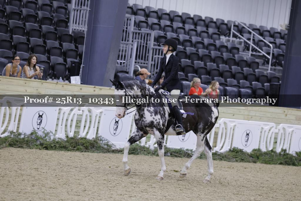 Proof 25R13_10343