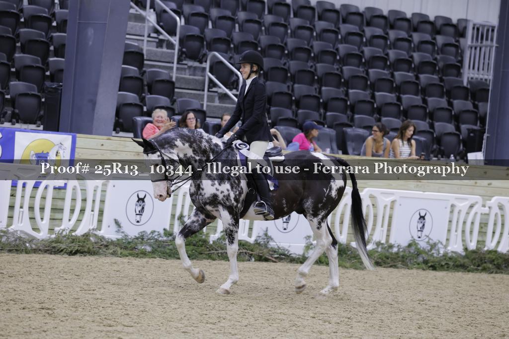 Proof 25R13_10344