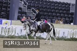 25R13_10344 proof