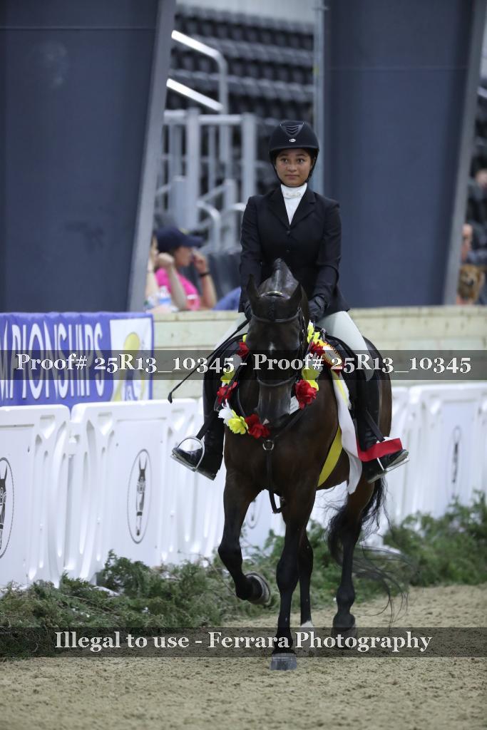 Proof 25R13_10345