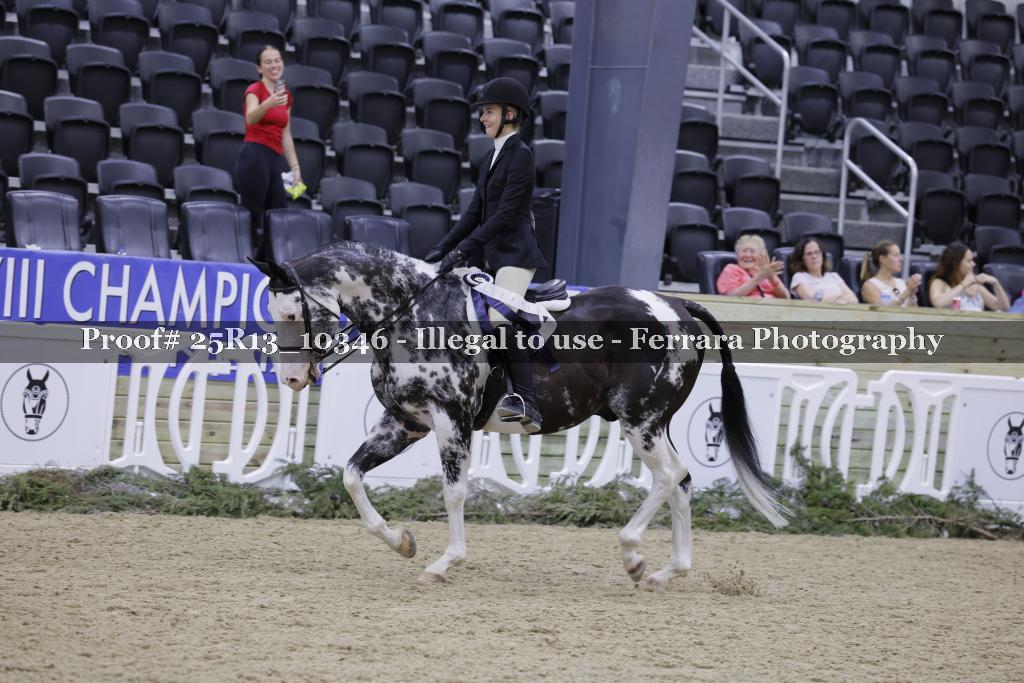 Proof 25R13_10346