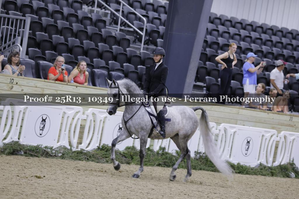 Proof 25R13_10349