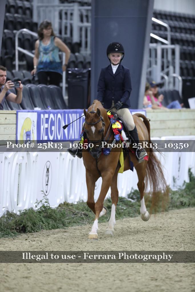Proof 25R13_10350
