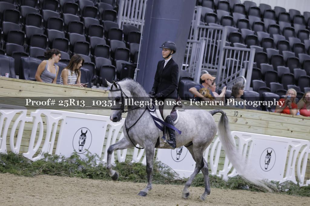Proof 25R13_10351