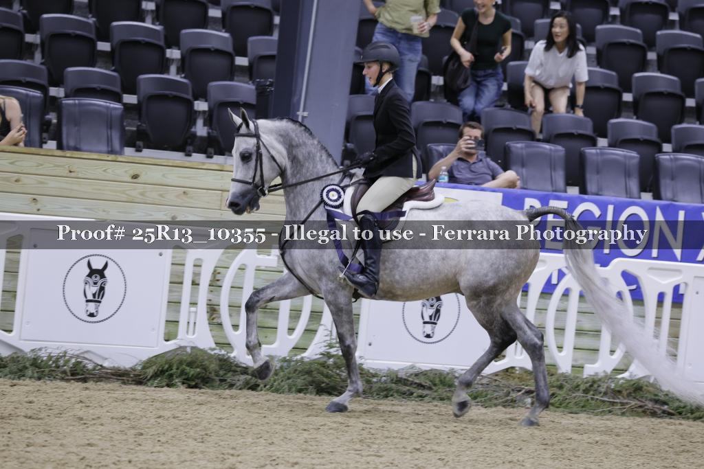 Proof 25R13_10355