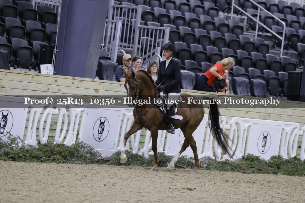 Proof 25R13_10356