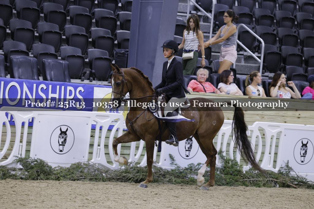 Proof 25R13_10358