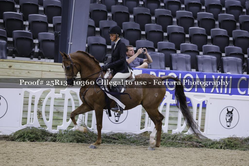 Proof 25R13_10360