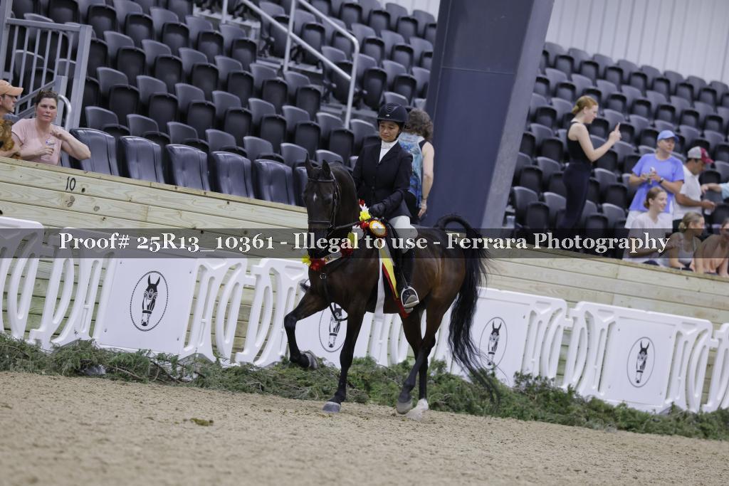 Proof 25R13_10361