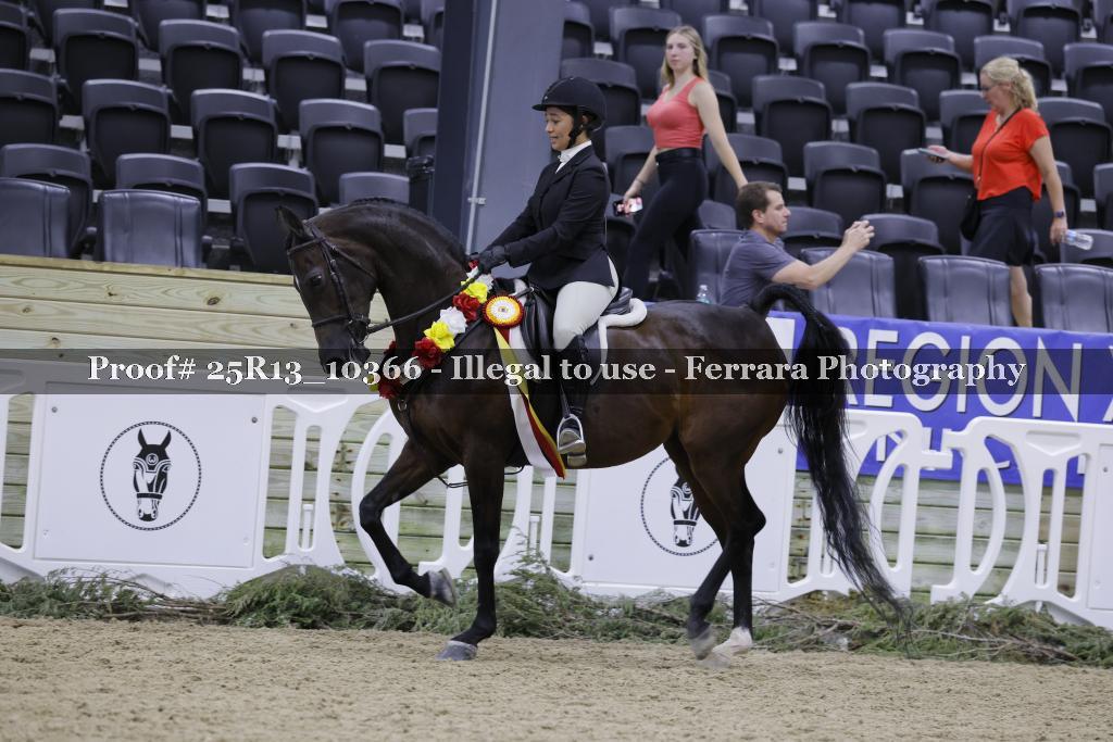 Proof 25R13_10366