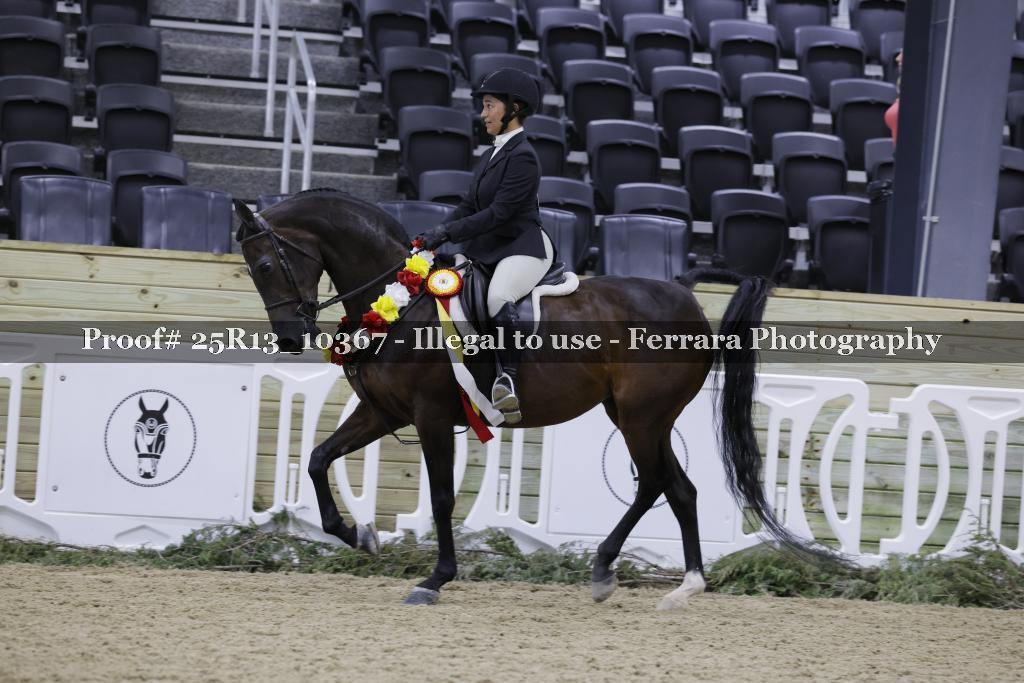 Proof 25R13_10367