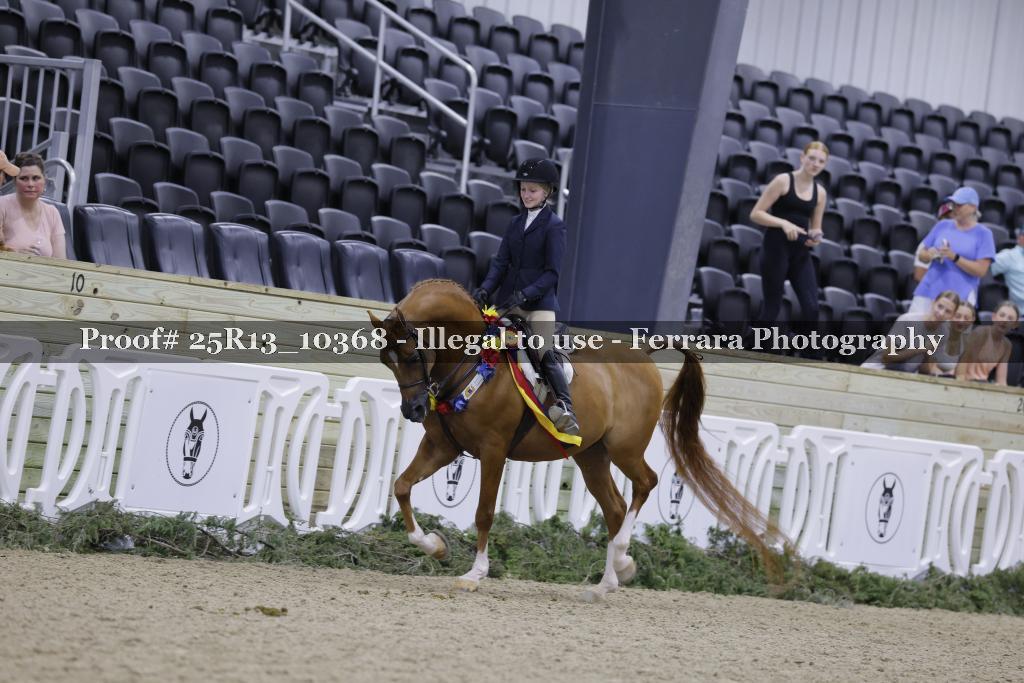 Proof 25R13_10368