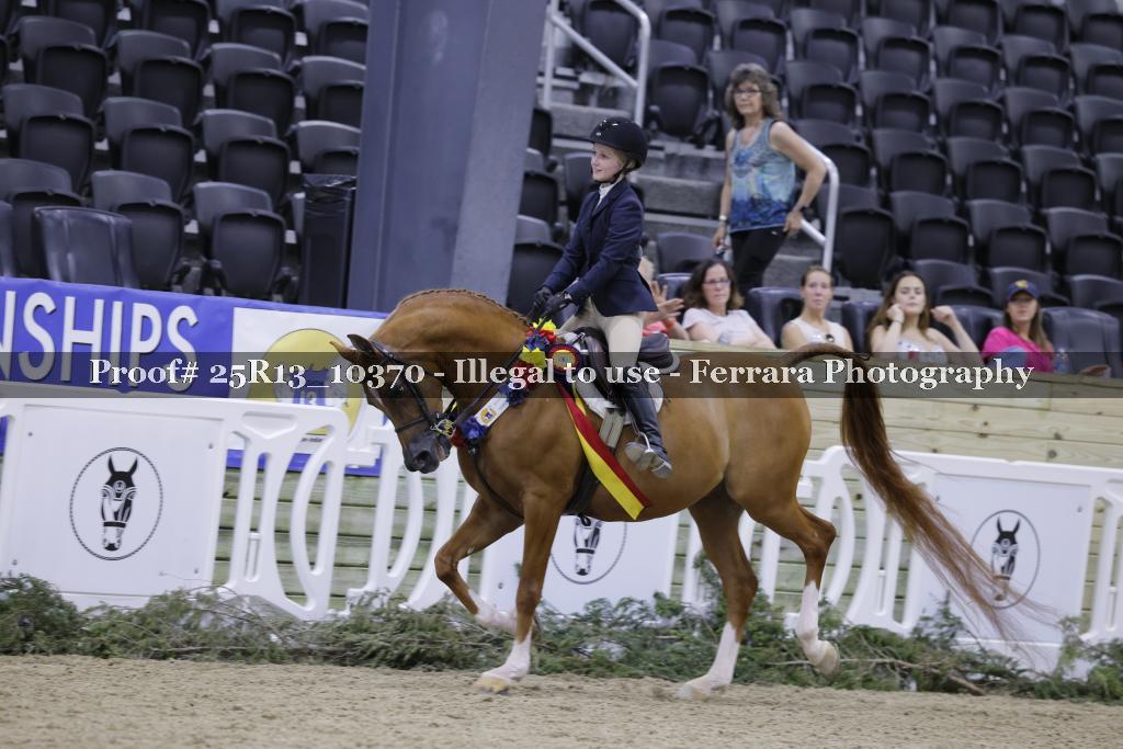 Proof 25R13_10370