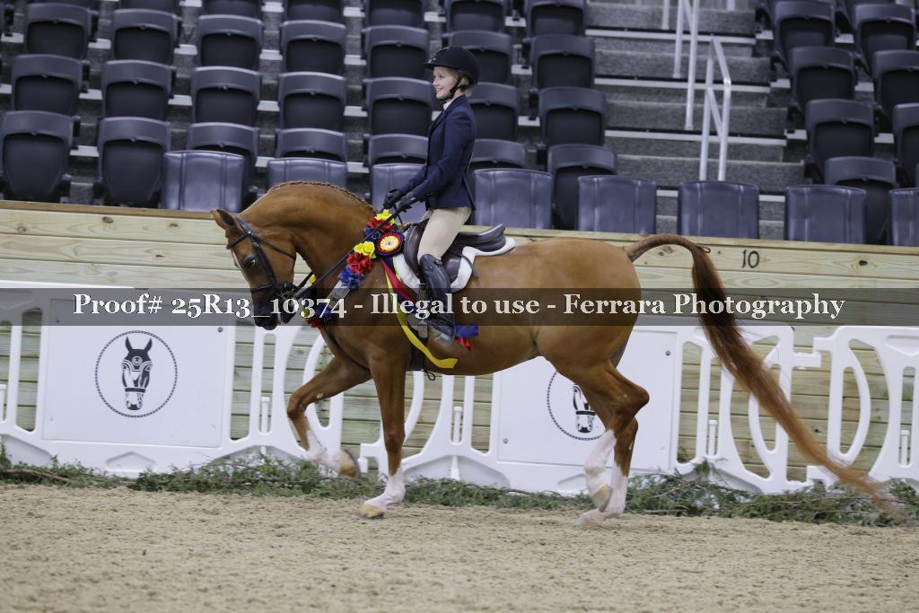 Proof 25R13_10374