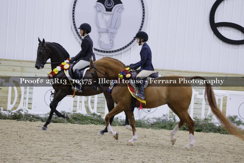Proof 25R13_10375