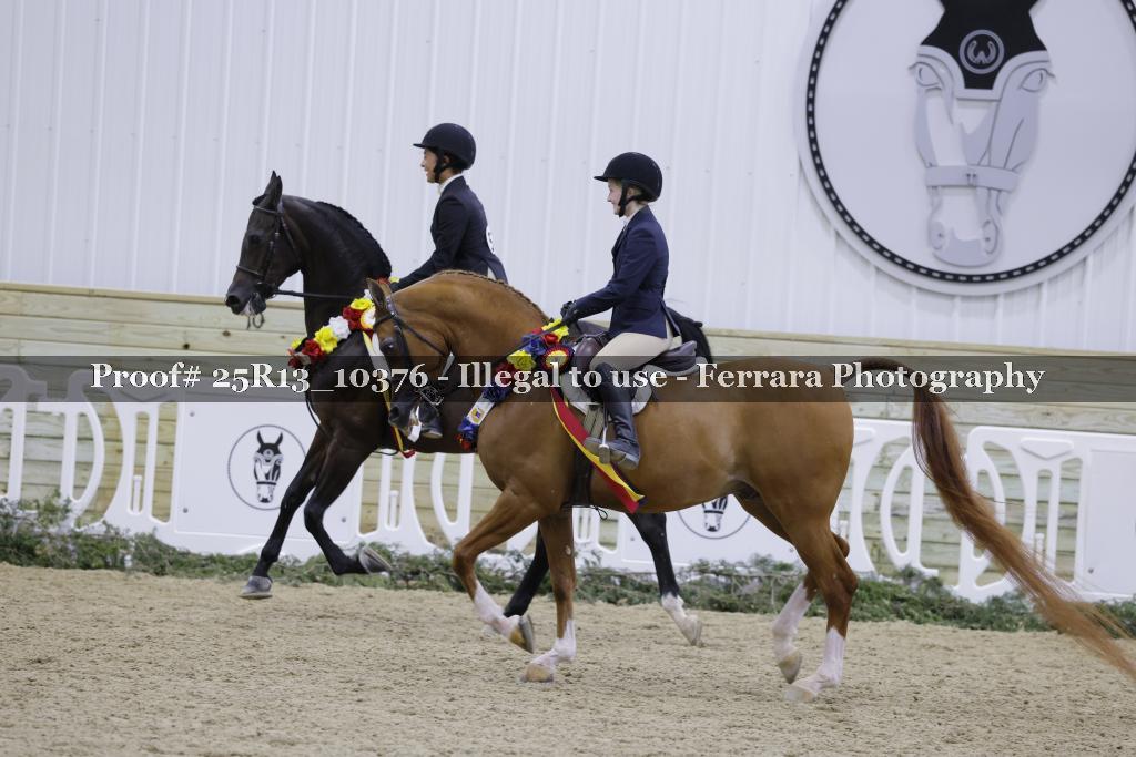 Proof 25R13_10376