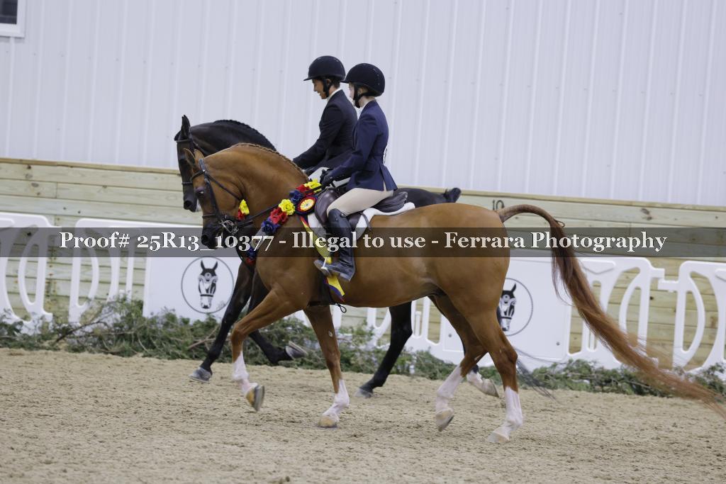 Proof 25R13_10377