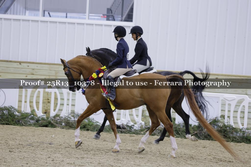 Proof 25R13_10378