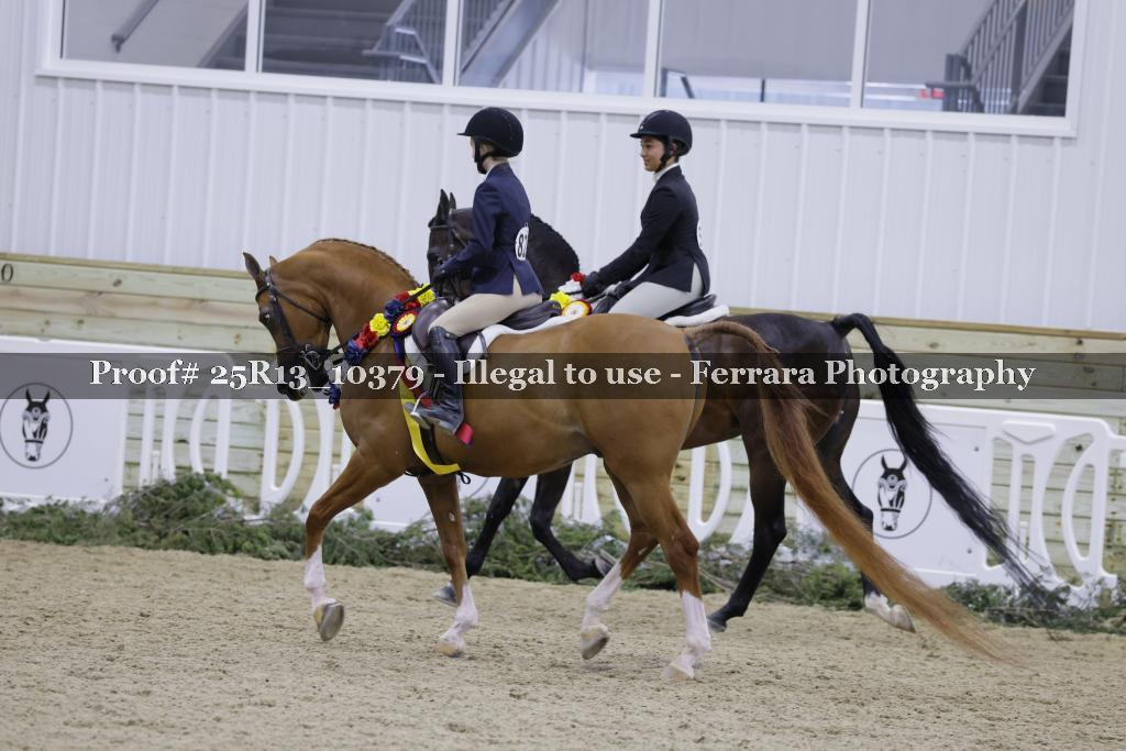 Proof 25R13_10379
