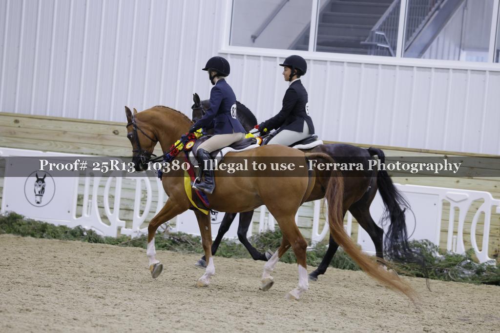 Proof 25R13_10380