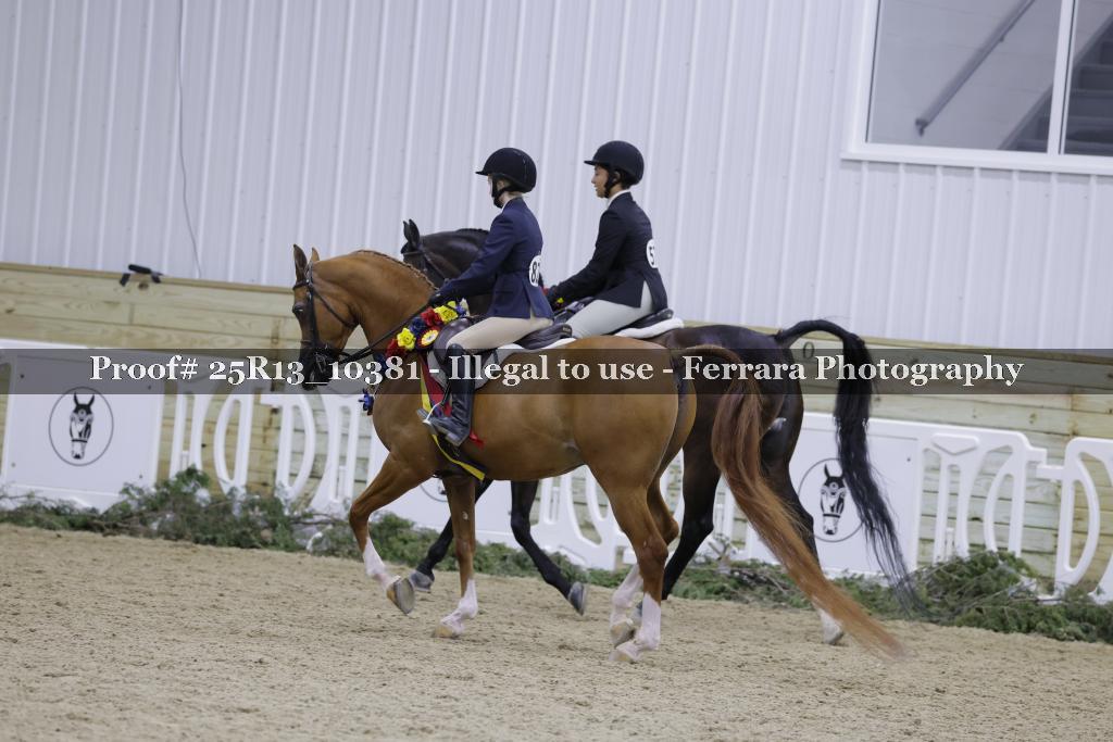 Proof 25R13_10381