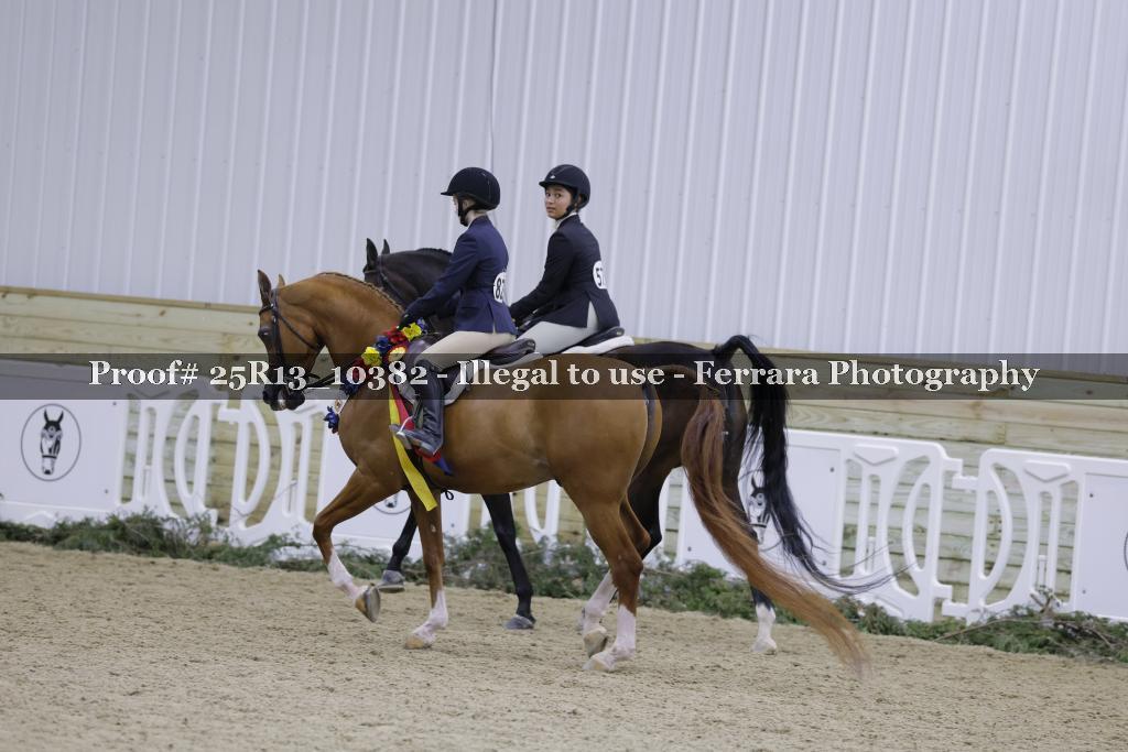 Proof 25R13_10382