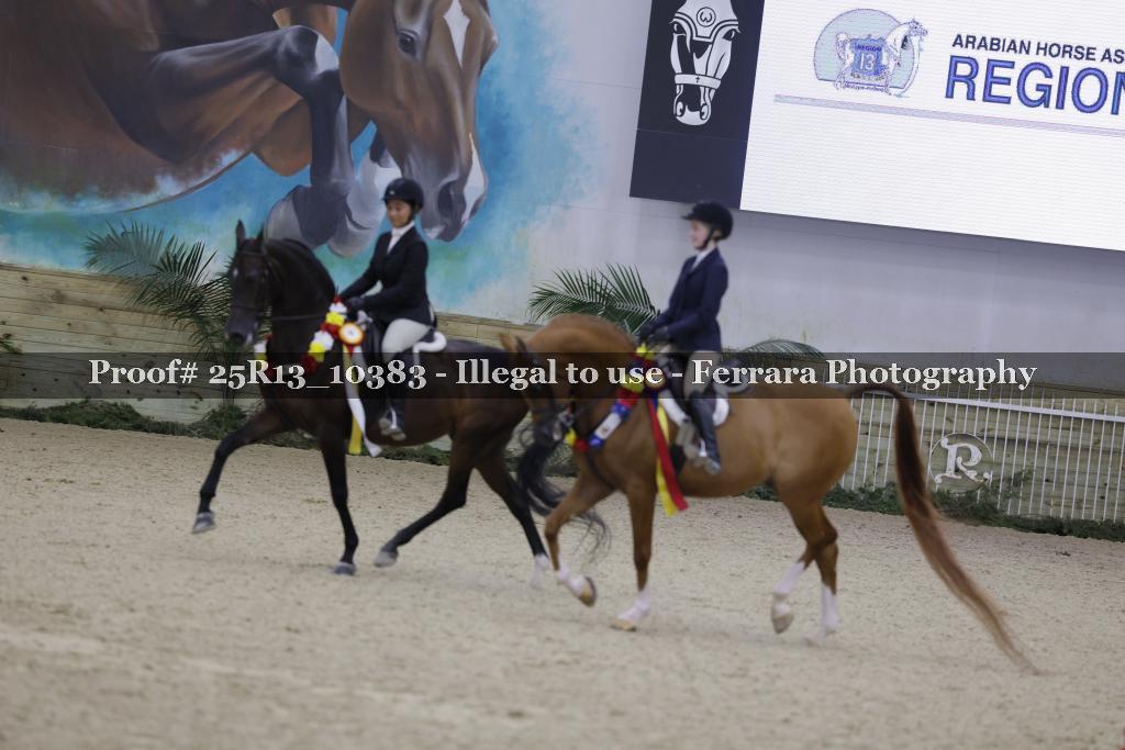 Proof 25R13_10383