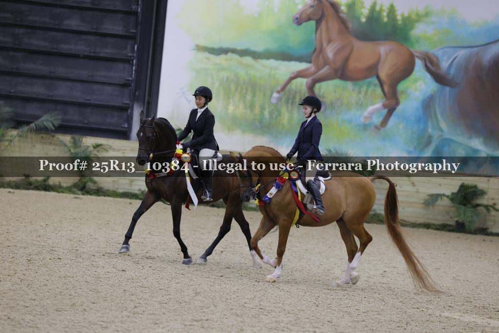 Proof 25R13_10384