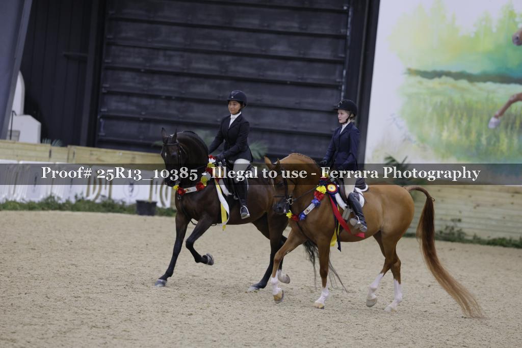 Proof 25R13_10385