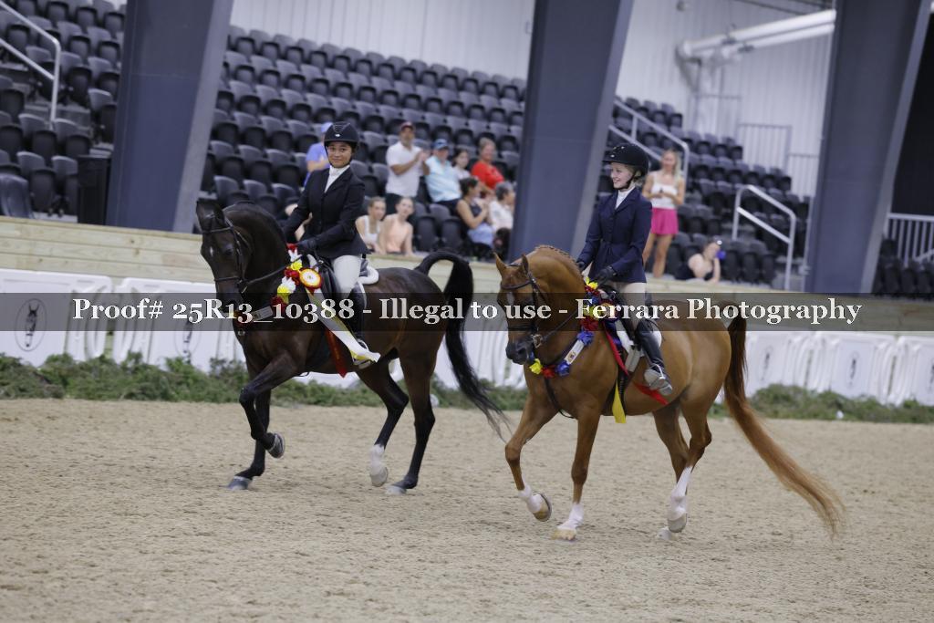 Proof 25R13_10388
