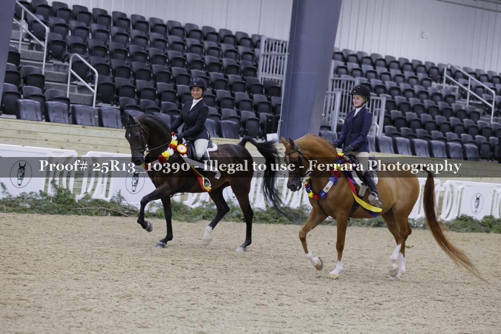 Proof 25R13_10390