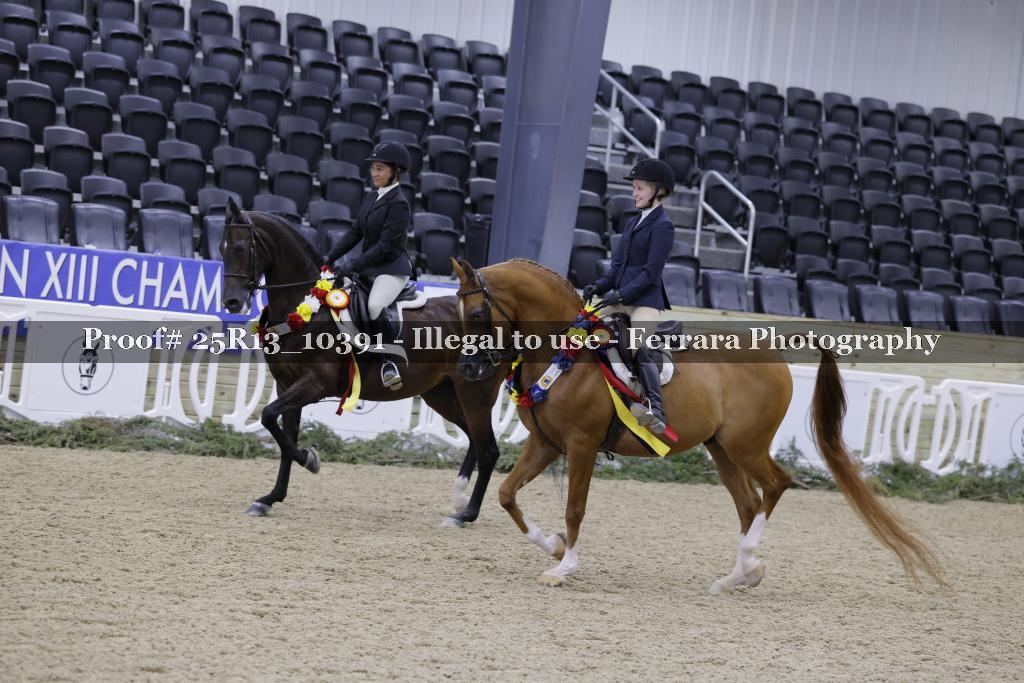 Proof 25R13_10391