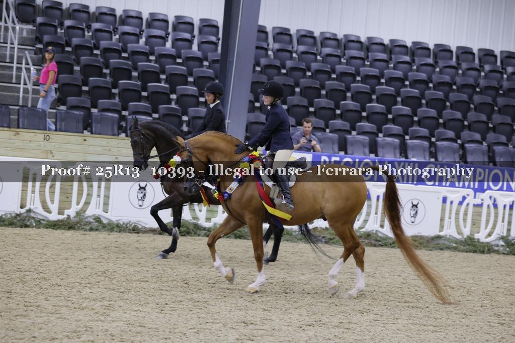 Proof 25R13_10393