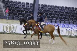 25R13_10393 proof