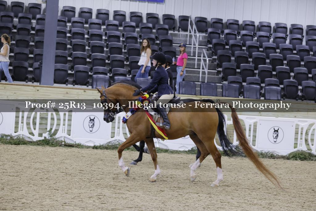 Proof 25R13_10394