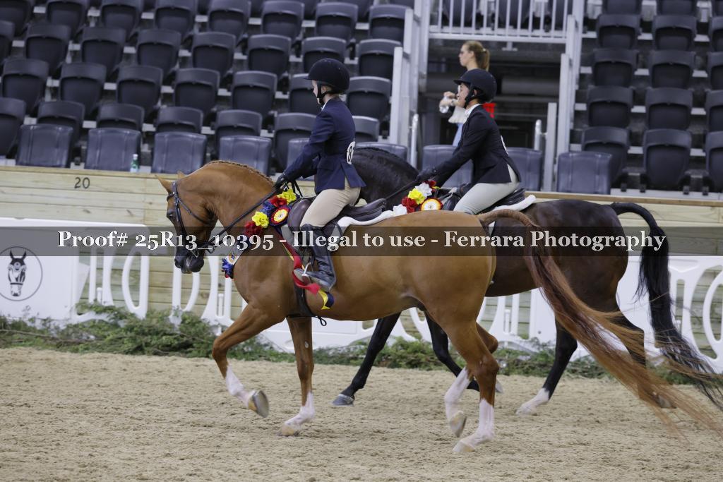 Proof 25R13_10395
