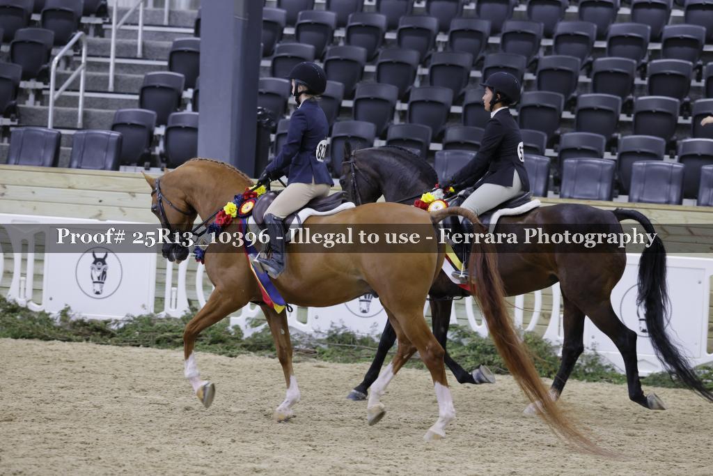 Proof 25R13_10396