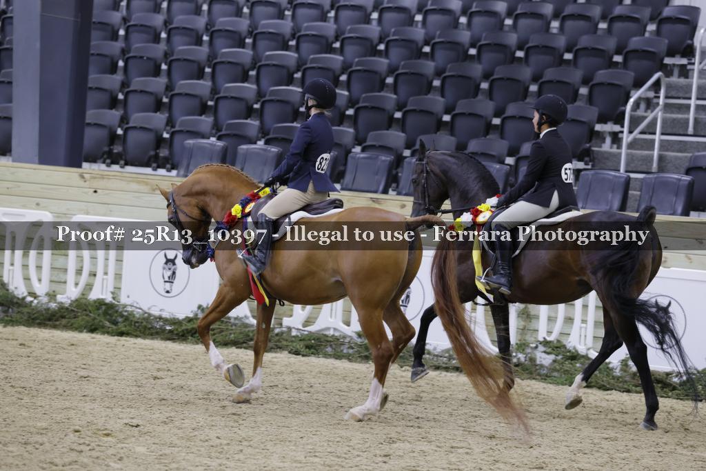 Proof 25R13_10397
