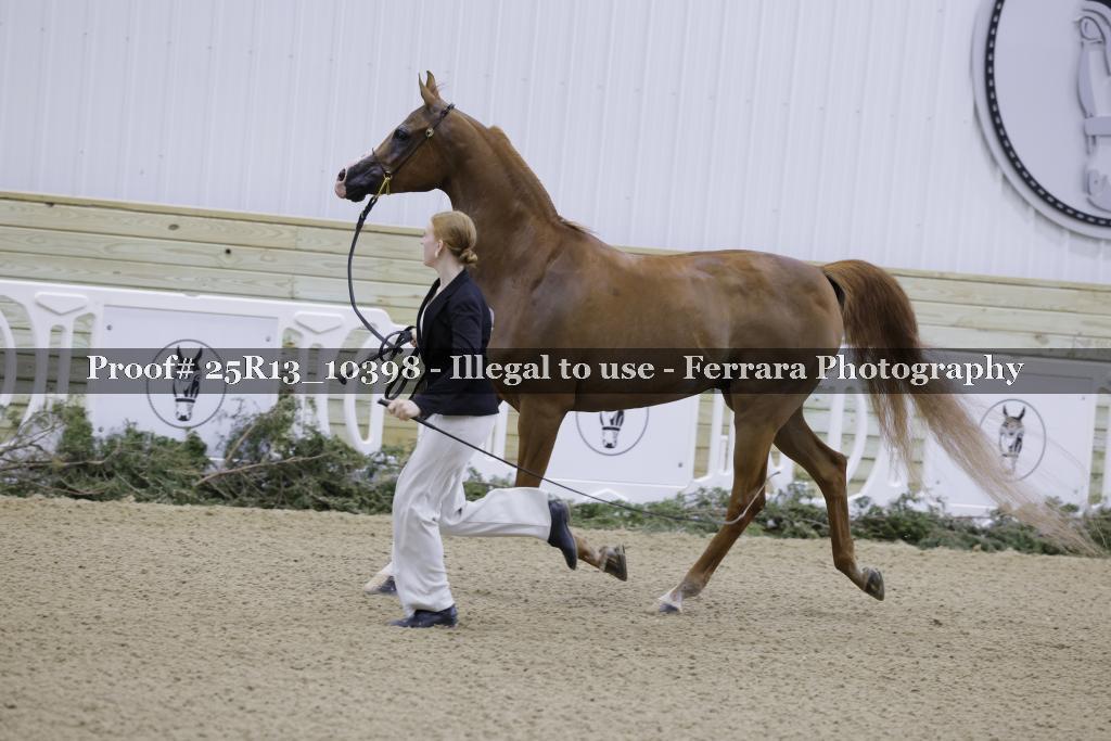 Proof 25R13_10398