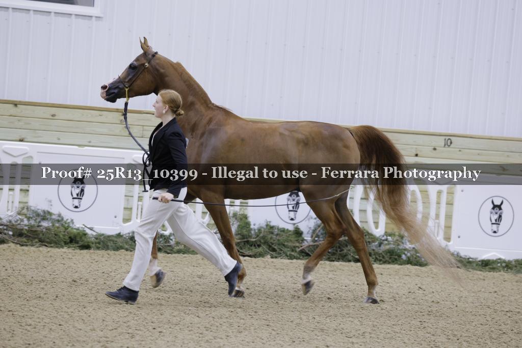 Proof 25R13_10399