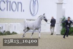 25R13_10400 proof