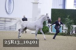 25R13_10401 proof