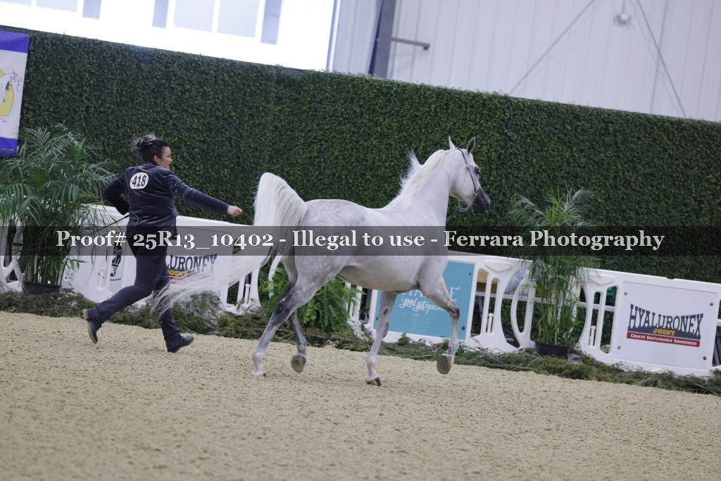 Proof 25R13_10402