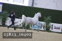 25R13_10402 proof