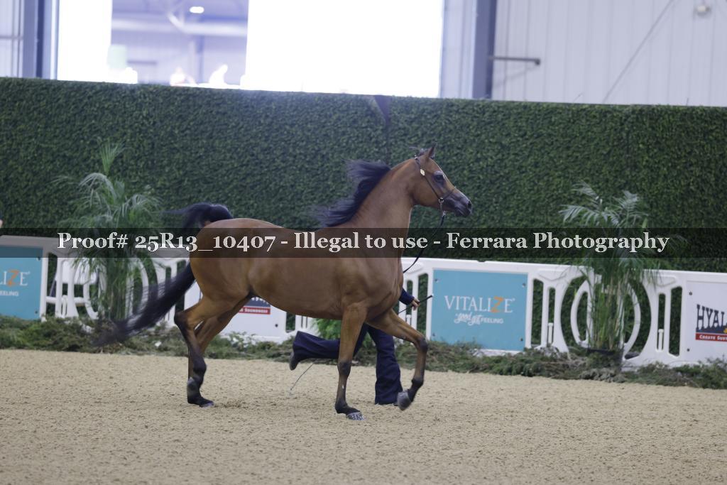 Proof 25R13_10407